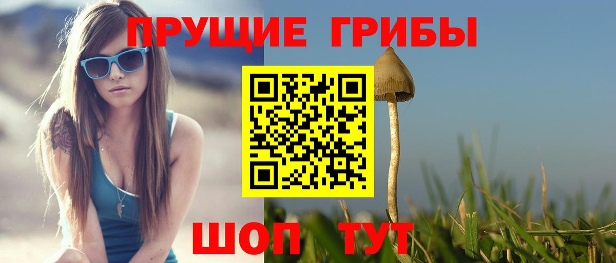 Волхов  даркнет сайт  Псилоцибиновые грибы GOLDEN TEACHER  Вход с VPN  Галлюциногенные грибы Cubensis 